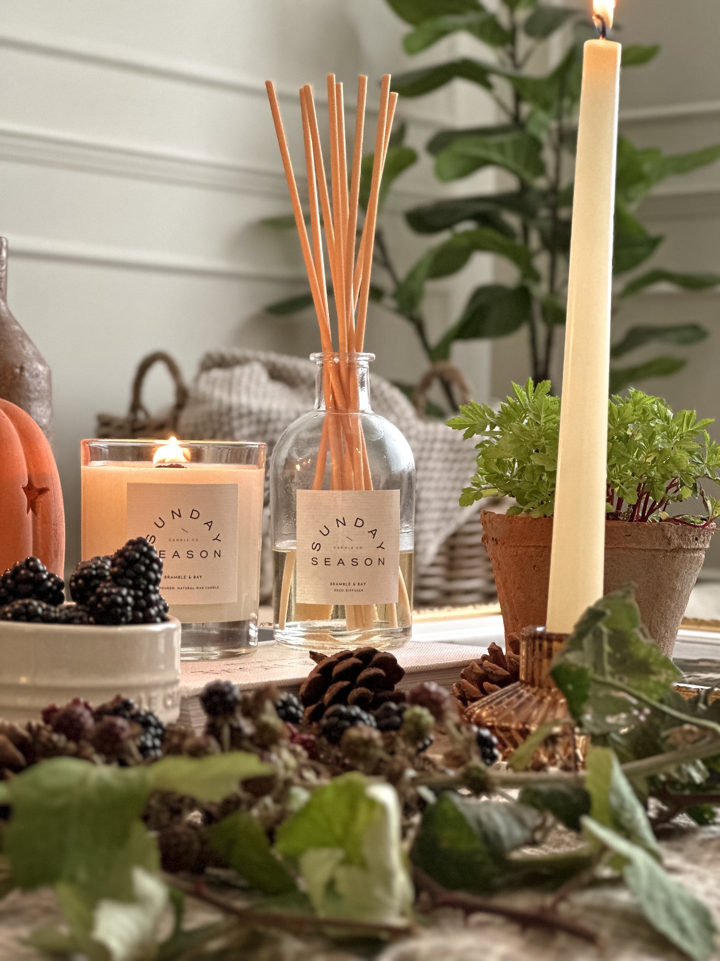 Bramble & Bay Reed Diffuser