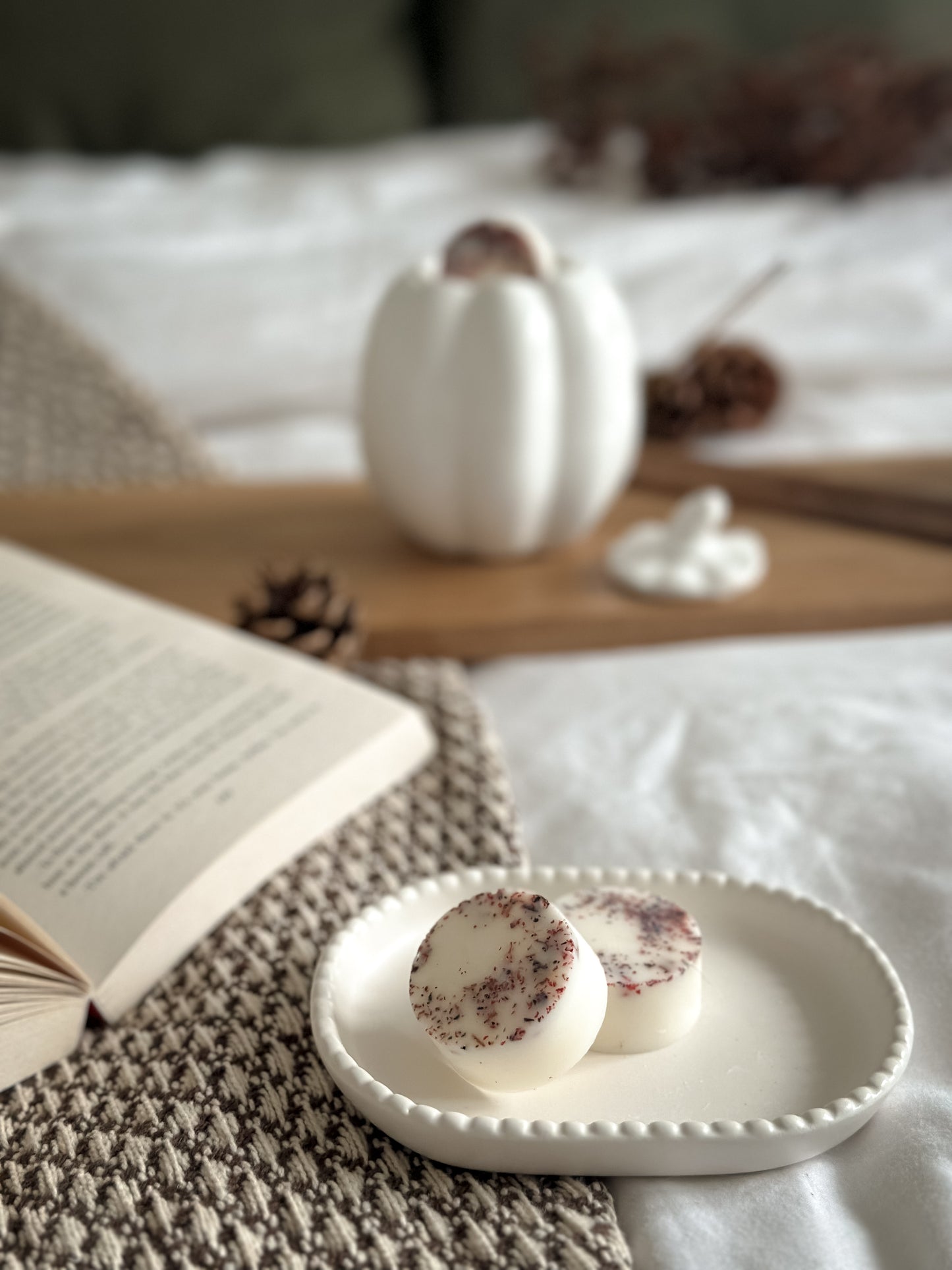 5th November Wax Melts