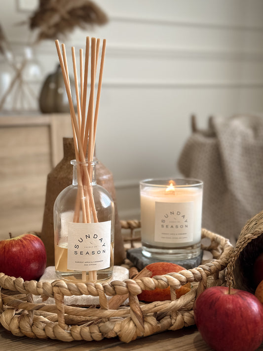 Harvest Apple & Cinnamon Reed Diffuser